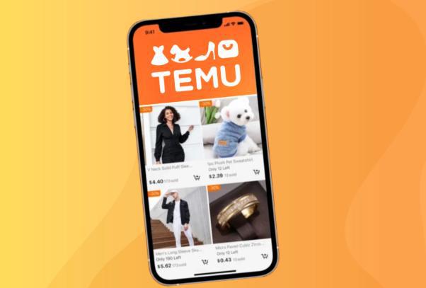 新兴电商平台崛起，美国海外仓如何成为小品牌 “逆袭” 的秘密武器？