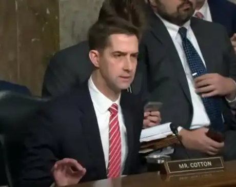 美参议员要求搜查TEMU、SHEIN美国仓库